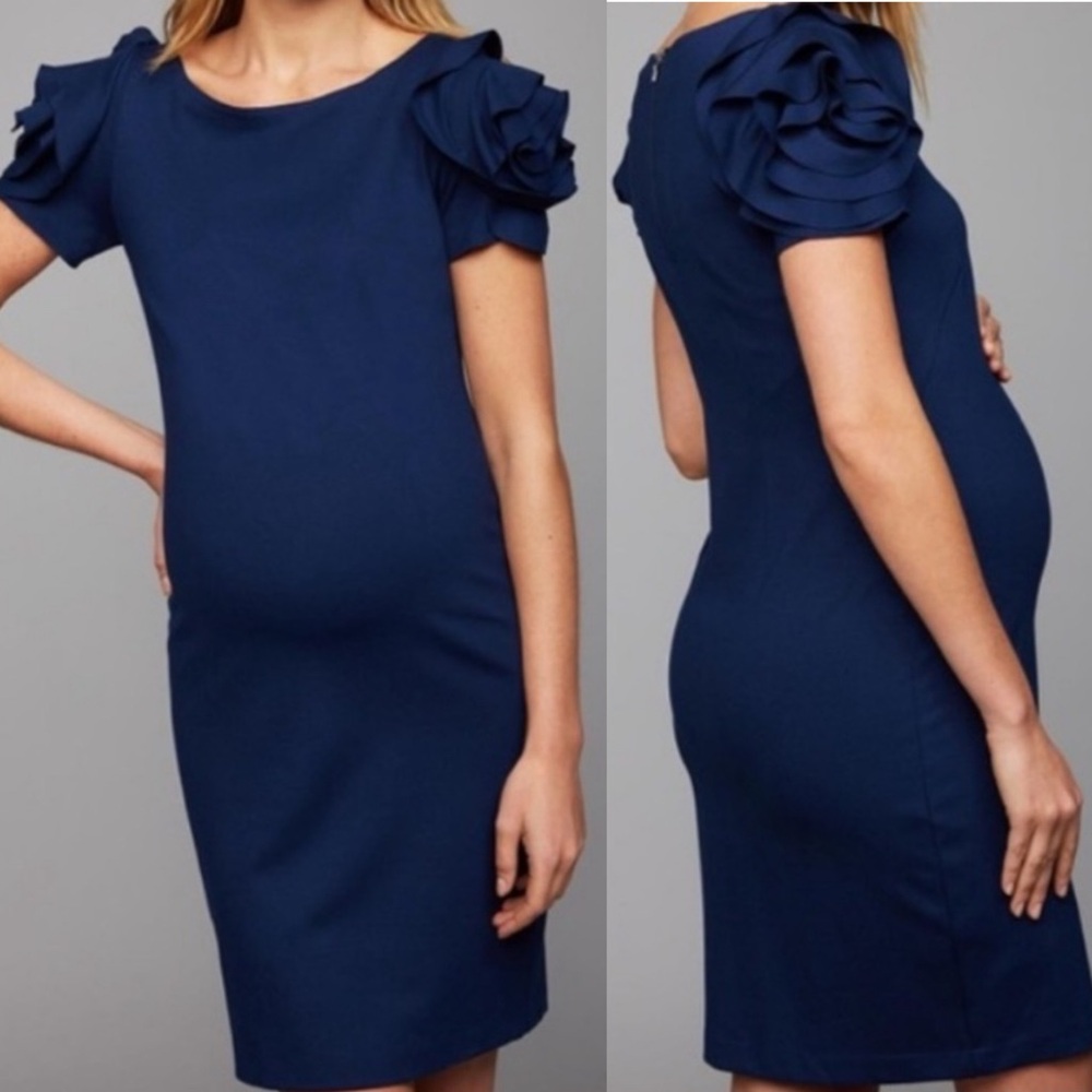 Pietro Brunelli Maternity Salisburgo Ruffle Puff Sleeve Blue Dress Size Large